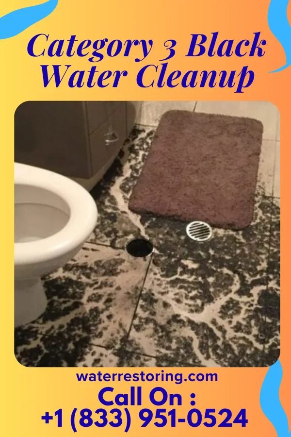 Category 3 Black Water Cleanup in Clifton Knolls-Mill Creek, NY