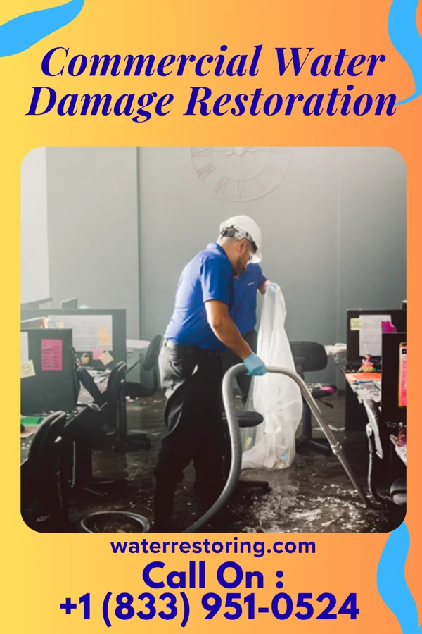 Commercial Water Damage Restoration in Clifton Knolls-Mill Creek, NY