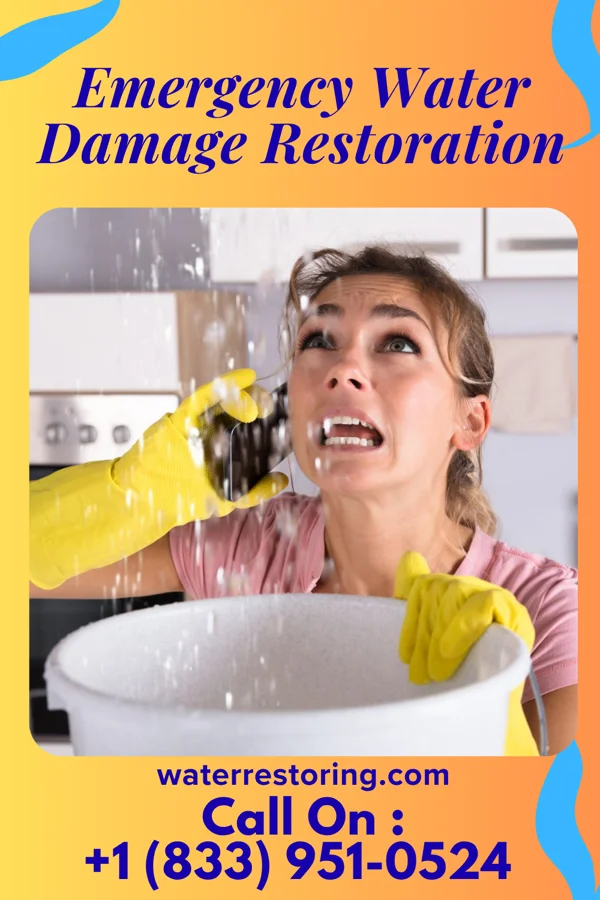 Emergency Water Damage Restoration in Clifton Knolls-Mill Creek, NY