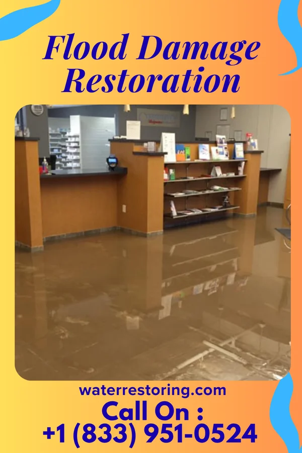 Flood Damage Restoration in Clifton Knolls-Mill Creek, NY