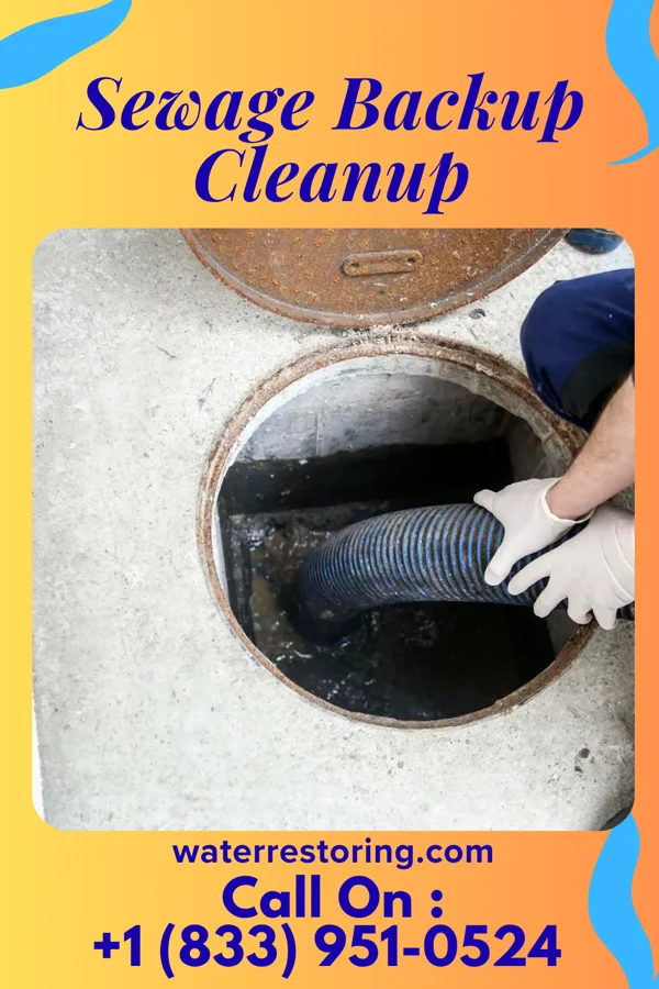 Sewage Backup Cleanup in Clifton Knolls-Mill Creek, NY