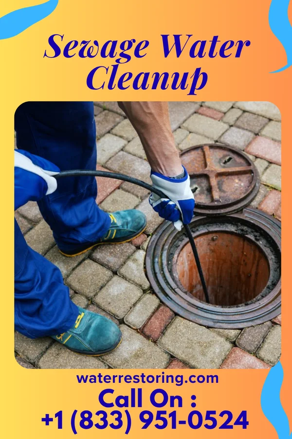 Sewage Water Cleanup in Clifton Knolls-Mill Creek, NY